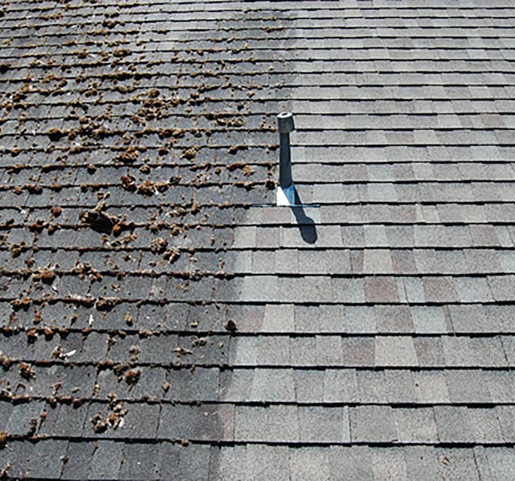 roof wash