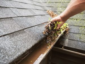 cleaning out dirty gutter full of leaves