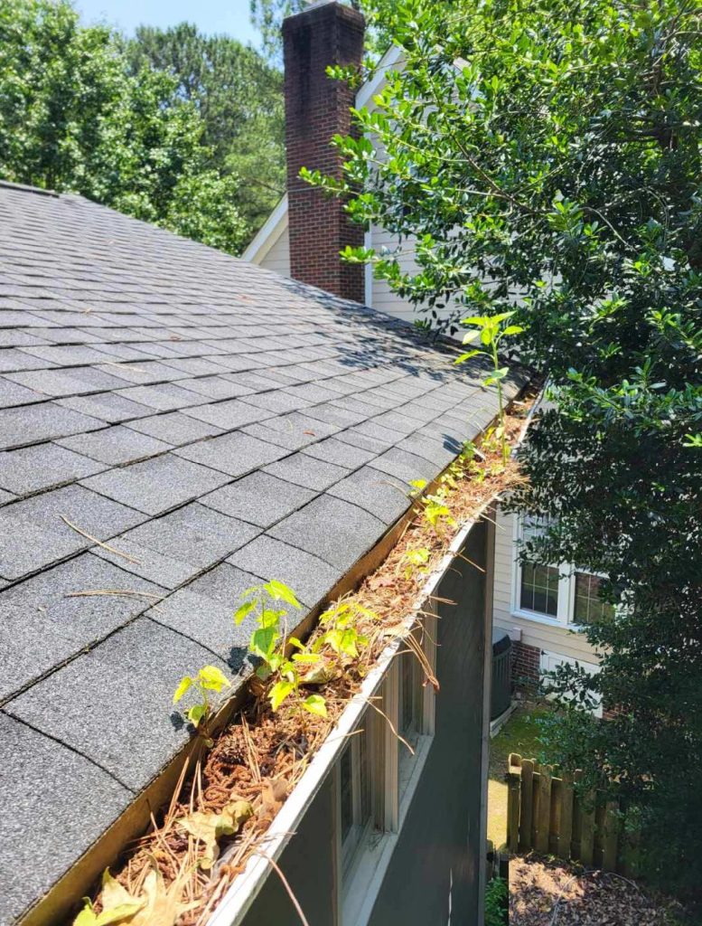 gutter cleanout before