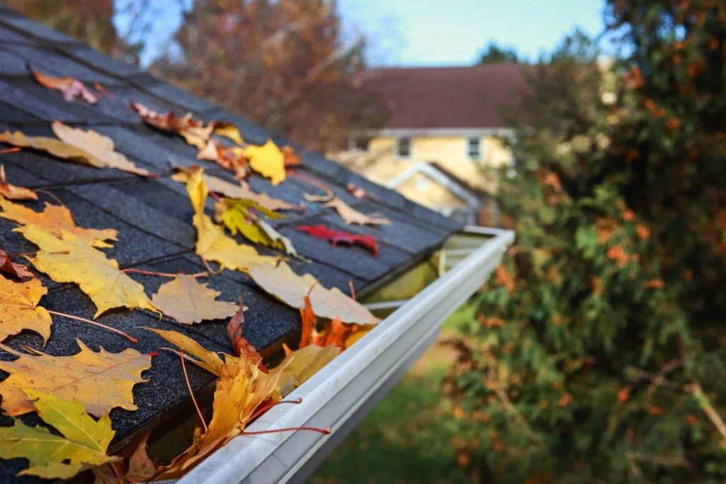 Fall cleanup, leaves on roof and in gutters