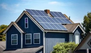 Solar Panel Cleaning